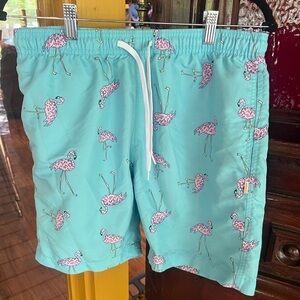 Size Medium AMBSN swim trunks NWOT